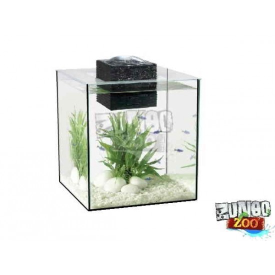 ZunboZoo Akvárium-Florárium-Terrárium Kocka Magas Üvegből