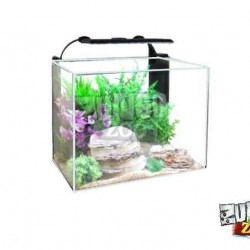 ZunboZoo Akvárium-Florárium-Terrárium Kocka Alacsony Üvegből